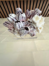 Load image into Gallery viewer, Barnacle & Coral Sculpture on Acrylic Base