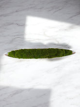 Load image into Gallery viewer, Sculptural Centerpiece – Modern Serenit