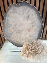 Load image into Gallery viewer, Agate Slice