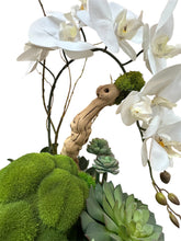 Load image into Gallery viewer, Orchid & Succulent Harmony in Concrete Bowl Elegant Faux Arrangement for Luxury Interiors
