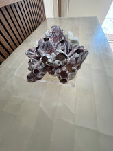 Load image into Gallery viewer, Barnacle & Coral Sculpture on Acrylic Base
