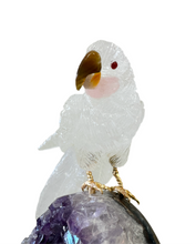 Load image into Gallery viewer, White Bird