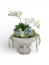 Load image into Gallery viewer, Crystal Quartz Orchid & Succulent Arrangement