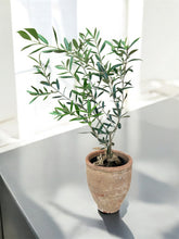 Load image into Gallery viewer, #1 Vintage Turkish Olive Jar