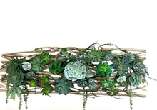 Load image into Gallery viewer, Organic Driftwood Succulent Wall Sculpture