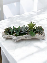 Load image into Gallery viewer, Faux Succulent Garden in Driftwood cast Vessel – Organic Tabletop Accent for Natural Interiors