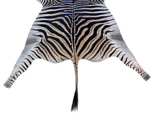 Load image into Gallery viewer, Sustainable Zebra Hide Rug
