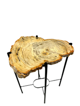 Load image into Gallery viewer, Petrified wood accent table