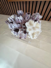 Load image into Gallery viewer, Barnacle & Coral Sculpture on Acrylic Base