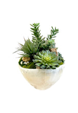 Load image into Gallery viewer, Onyx Bowl with Succulents arrangement