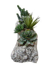 Load image into Gallery viewer, Faux Succulent Garden in Driftwood cast Vessel – Organic Tabletop Accent for Natural Interiors
