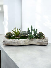 Load image into Gallery viewer, Faux Succulent Garden in Driftwood cast Vessel – Organic Tabletop Accent for Natural Interiors
