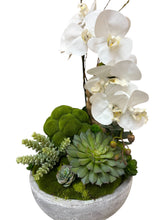 Load image into Gallery viewer, Orchid &amp; Succulent Harmony in Concrete Bowl Elegant Faux Arrangement for Luxury Interiors
