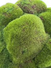 Load image into Gallery viewer, Moss Cloud in Ceramic
