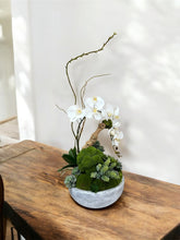 Load image into Gallery viewer, Orchid &amp; Succulent Harmony in Concrete Bowl Elegant Faux Arrangement for Luxury Interiors
