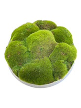 Load image into Gallery viewer, Moss Cloud in Ceramic
