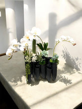 Load image into Gallery viewer, Sculptural Orchid &amp; Succulent Arrangement in Black Organic Vase – Modern Botanical
