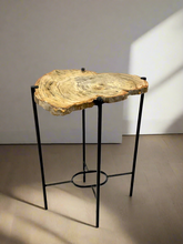 Load image into Gallery viewer, Petrified wood accent table
