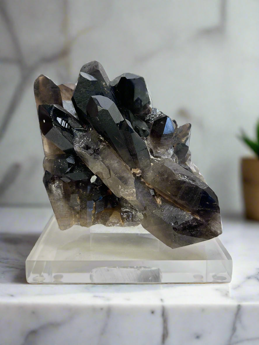 Small Smoky Quartz Cluster on Lucite Base