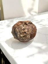 Load image into Gallery viewer, Brazilian Terra Cotta Vessel with Natural Shell &amp; Coral Accretions
