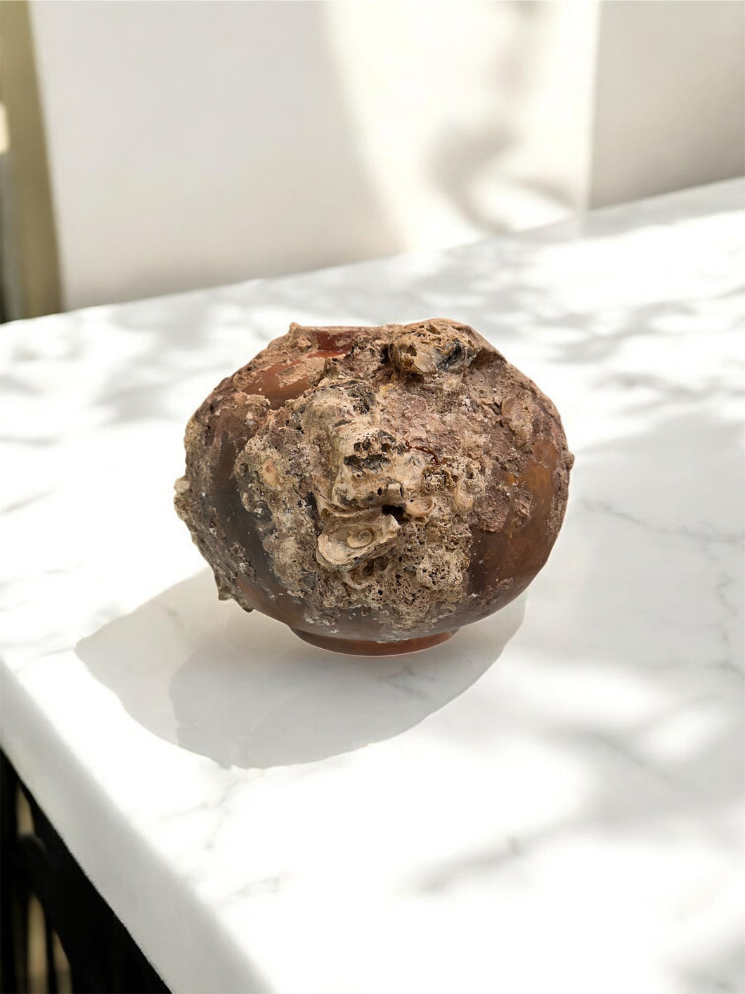 Brazilian Terra Cotta Vessel with Natural Shell & Coral Accretions