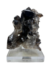 Load image into Gallery viewer, Small Smoky Quartz Cluster on Lucite Base
