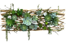 Load image into Gallery viewer, Organic Driftwood Succulent Wall Sculpture
