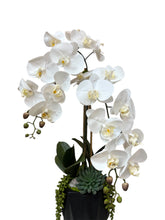 Load image into Gallery viewer, White Orchid Drop in Faceted Black Vessel – Minimalist Faux Floral for Luxury Spaces
