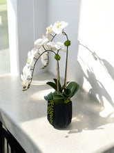Load image into Gallery viewer, White Orchid Drop in Faceted Black Vessel – Minimalist Faux Floral for Luxury Spaces
