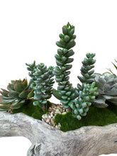 Load image into Gallery viewer, Faux Succulent Garden in Driftwood cast Vessel – Organic Tabletop Accent for Natural Interiors

