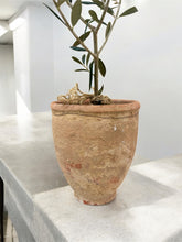 Load image into Gallery viewer, #1 Vintage Turkish Olive Jar
