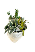 Load image into Gallery viewer, Onyx Bowl with Succulents arrangement
