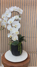 Load and play video in Gallery viewer, White Orchid Drop in Faceted Black Vessel – Minimalist Faux Floral for Luxury Spaces

