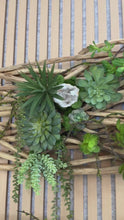 Load and play video in Gallery viewer, Organic Driftwood Succulent Wall Sculpture
