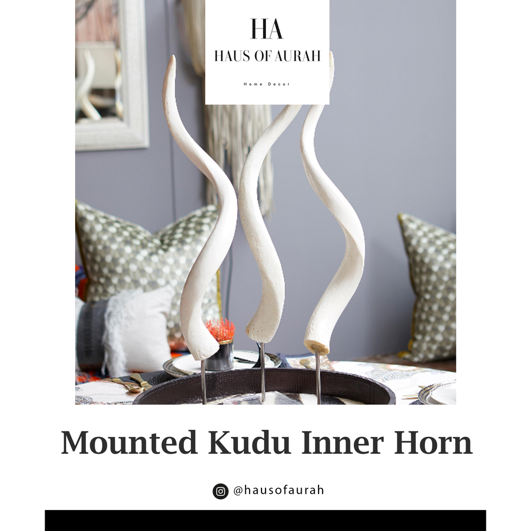 Mounted Kudu Inner Horn